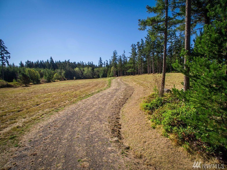 Dragon Run Road Lopez Island, WA 98261 - Photo 15 of 25
