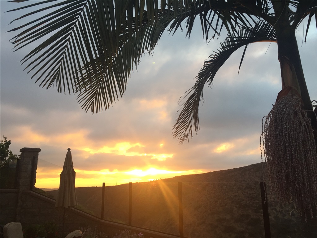 7091 Sitio Caliente Carlsbad, CA 92009 - Photo 8 of 23 Sunset view taken by seller with iPhone. Its Real and its Spectacular!