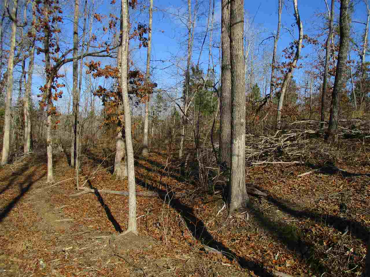 0 Rocky Knob Road Finger, TN 38334 - Photo 5 of 9