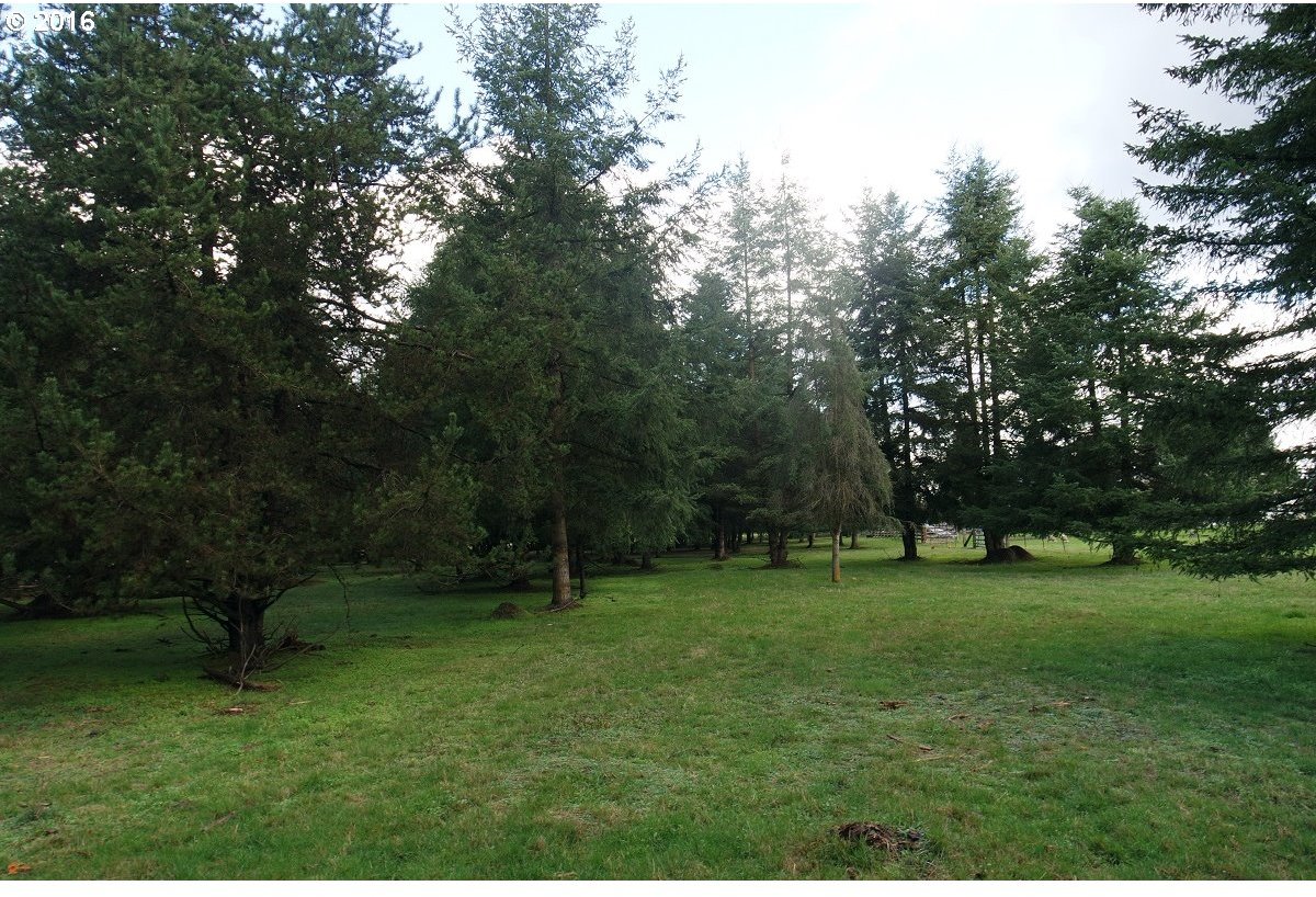 8721 183rd Avenue Southwest Rochester, WA 98579 - Photo 19 of 32