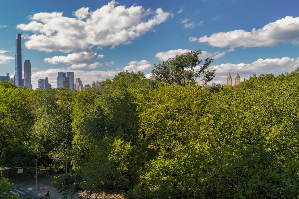 953 5th Avenue, Unit 5/6 Manhattan, NY 10075 - Photo 20 of 22