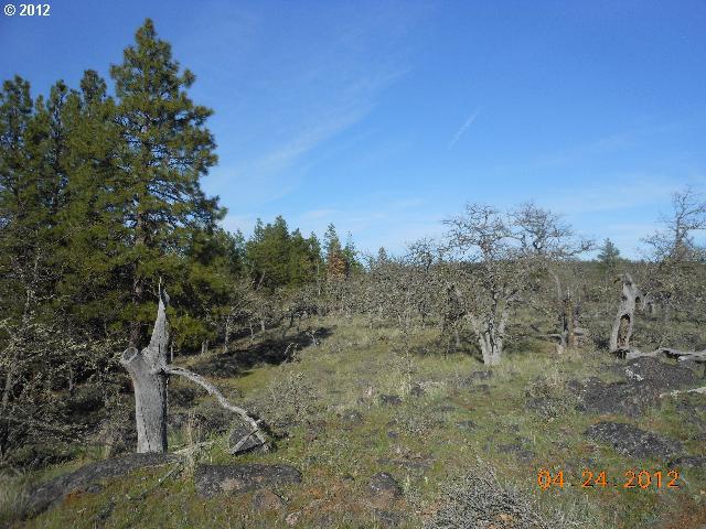 Log Cabin Road Goldendale, WA 98620 - Photo 4 of 16 Gallery Image 4
