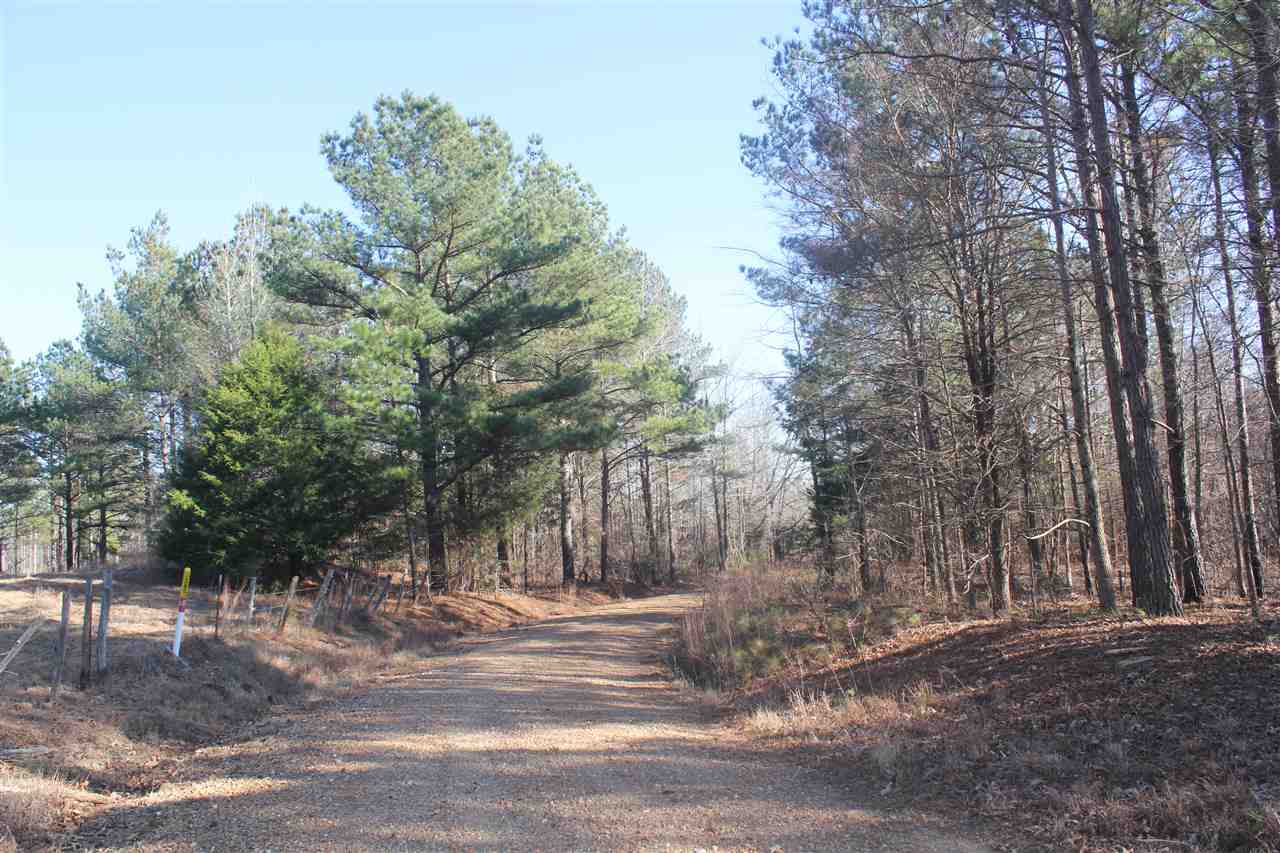 400 White Road Holly Springs, MS 38635 - Photo 6 of 24 Gallery Image 6