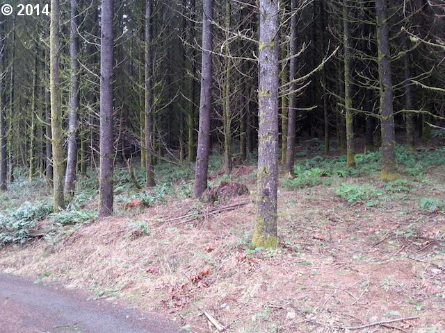 531 Bryant Road Woodland, WA 98674 - Photo 16 of 16 Gallery Image 16