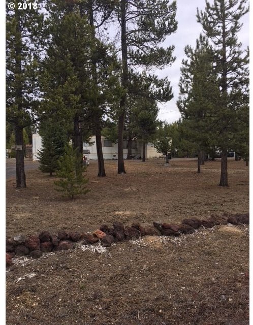 343 Pinney's Acres Road Crescent, OR 97733 - Photo 1 of 10 Gallery Image 1