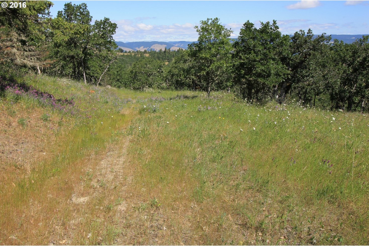 Del Vista Mosier, OR 97040 - Photo 21 of 31 Gallery Image 21