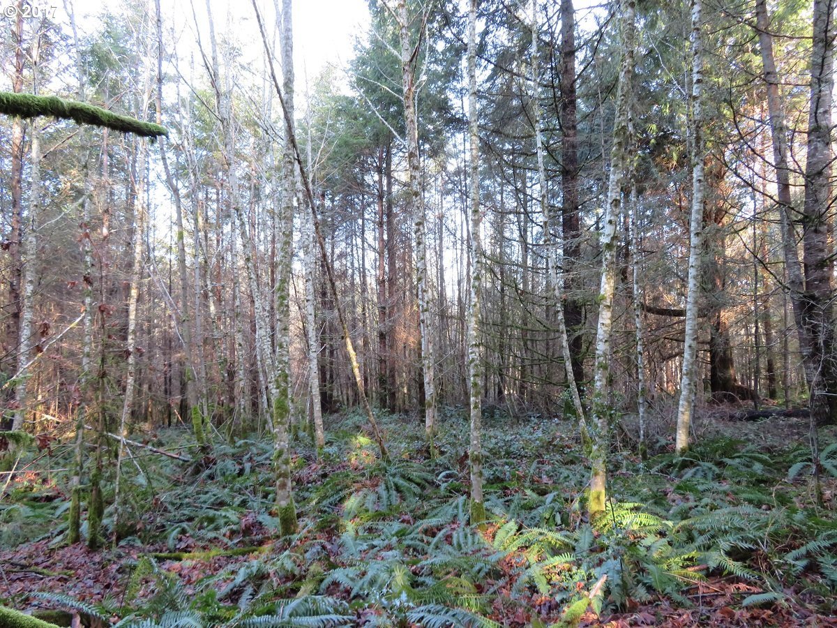 Cousins Road, Unit 2 Chehalis, WA 98532 - Photo 27 of 32