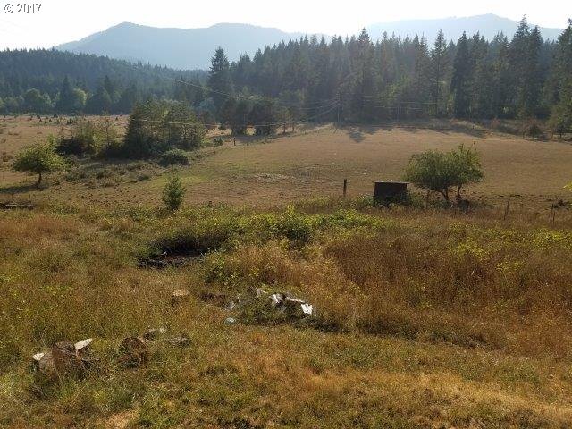 1070 Denn Road Camas Valley, OR 97416 - Photo 26 of 32