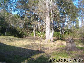 5750 Datil Pepper Road St. Augustine, FL 32086 - Photo 4 of 4 Back Yard 2