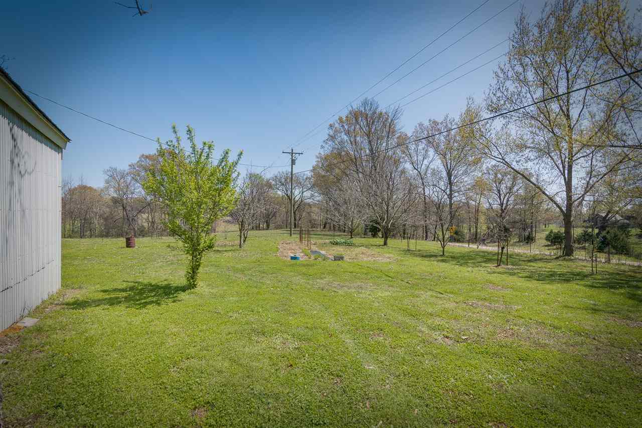 2380 Holly Grove Road Covington, TN 38019 - Photo 5 of 11 Gallery Image 5