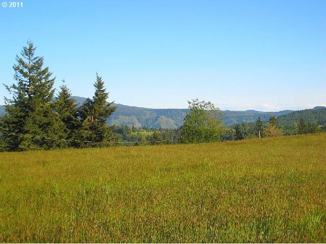 1371 Labarre Road Washougal, WA 98671 - Photo 3 of 16 Gallery Image 3