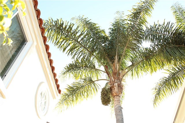 7 Hillsborough Newport Beach, CA 92660 - Photo 20 of 32