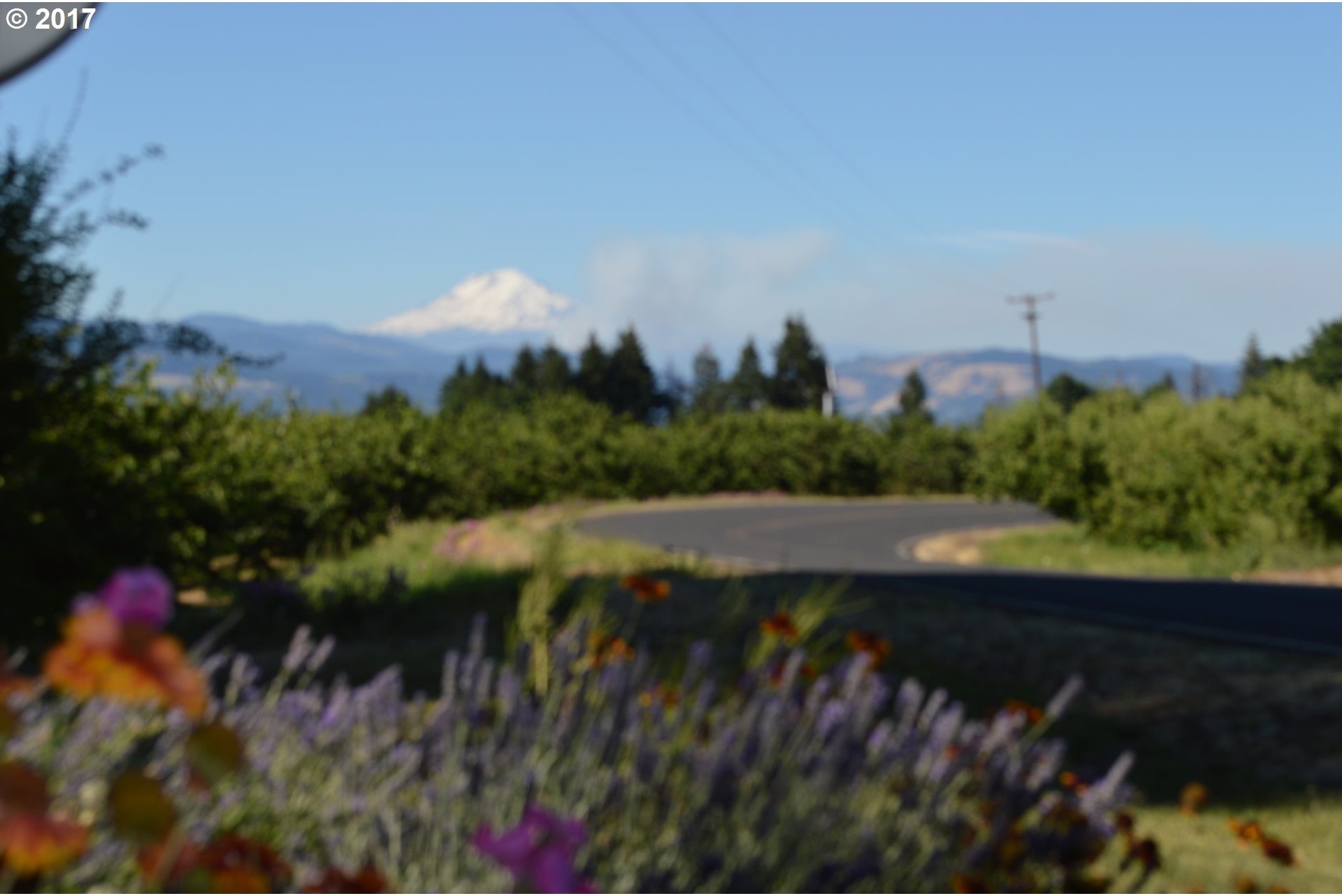3608 Wyeast Road Hood River, OR 97031 - Photo 4 of 32 Gallery Image 4