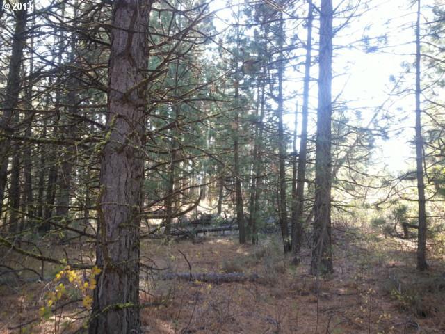 Pine Creek Road, Unit 5 Roosevelt, WA 99356 - Photo 13 of 16 Gallery Image 13