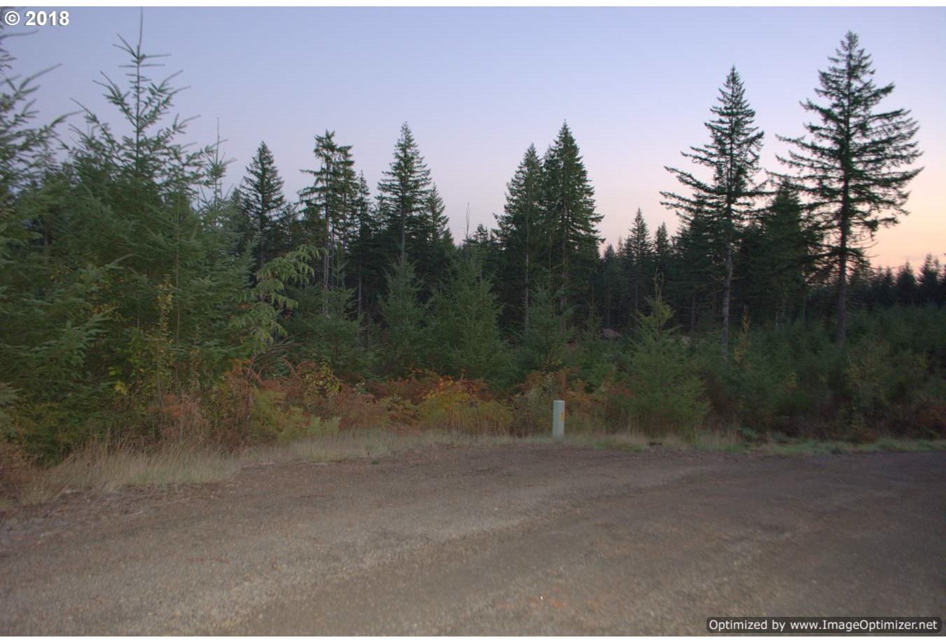 1 Schmitz Road Kalama, WA 98625 - Photo 9 of 23 Gallery Image 9