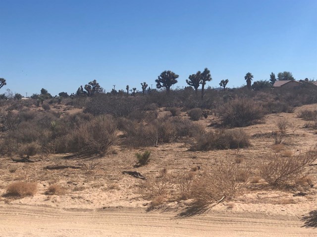 0 4th Phelan, CA 92371 - Photo 2 of 3
