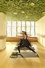 200 East 66th Street, Unit D303 Manhattan, NY 10065 - Photo 4 of 11