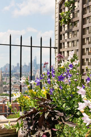 $5,650,000 | 35 Prospect Park West Park West, Unit PHD | Park Slope