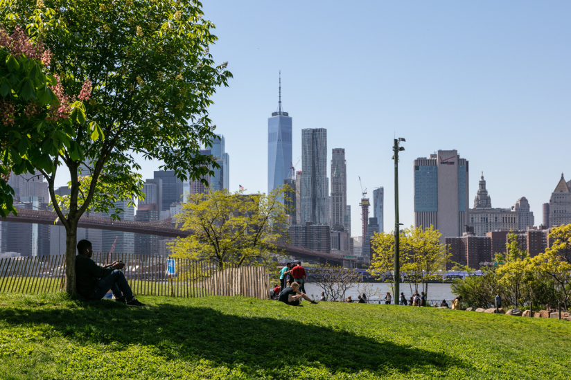 Bridge No. 50 50 Bridge St, Brooklyn, NY 11201 - Photo 10 of 15