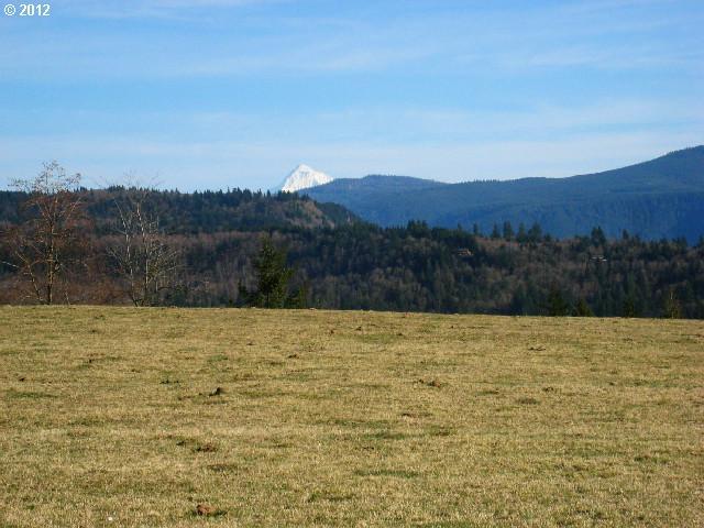 1371 Labarre Road Washougal, WA 98671 - Photo 1 of 16 Gallery Image 1