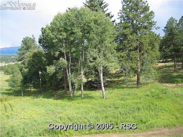 Matterhorn Drive Florissant, CO 80816 - Photo 2 of 4