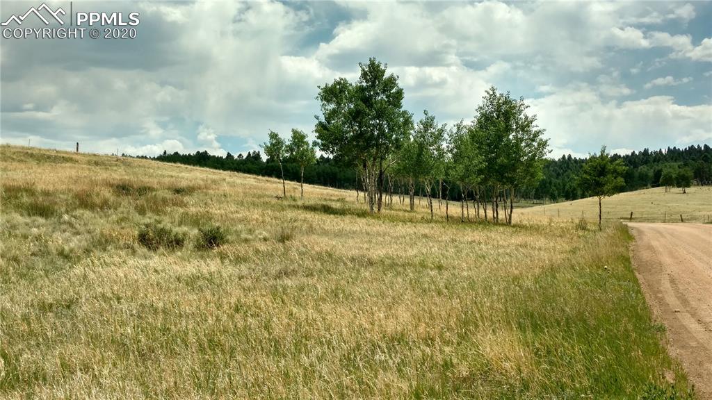 34 Herald Lane Divide, CO 80814 - Photo 2 of 16