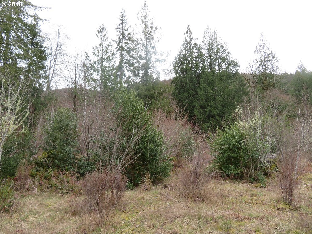 East Mox Chehalis Road McCleary, WA 98557 - Photo 4 of 29 Gallery Image 4
