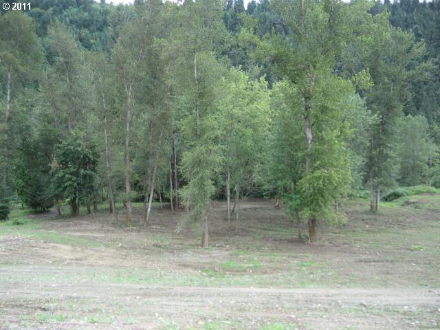 0 Parkinson Road Winston, OR 97496 - Photo 13 of 13 Gallery Image 13