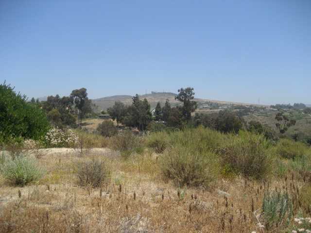3645 Copper Crest Road Encinitas, CA 92024 - Photo 4 of 6