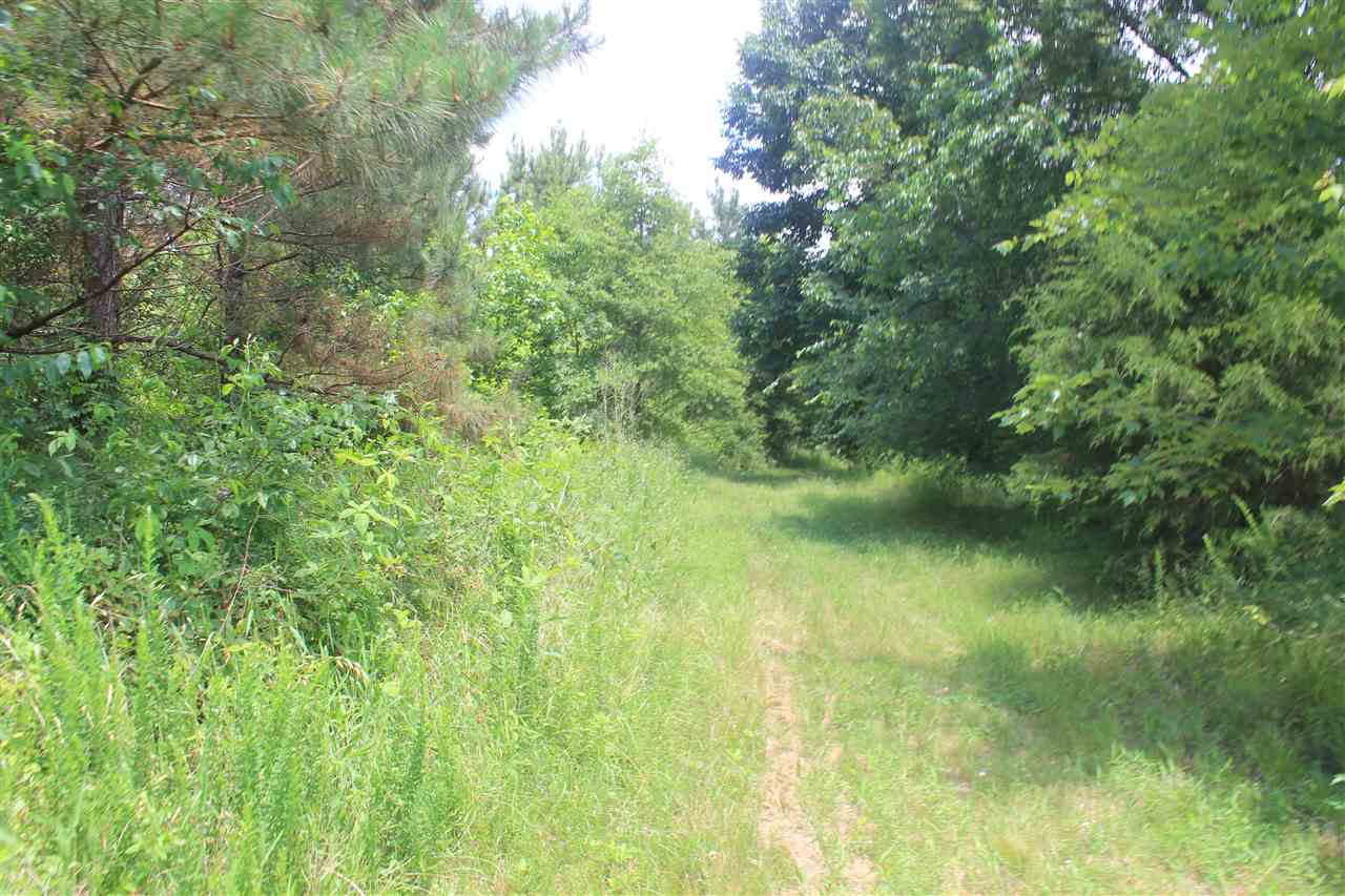 2810 Hoover Road Holly Springs, MS 38635 - Photo 22 of 25