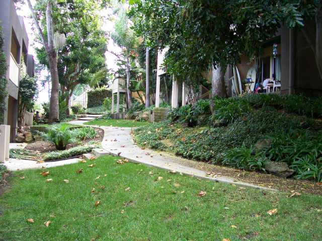 159 West Glaucus Street, Unit D Encinitas, CA 92024 - Photo 6 of 11
