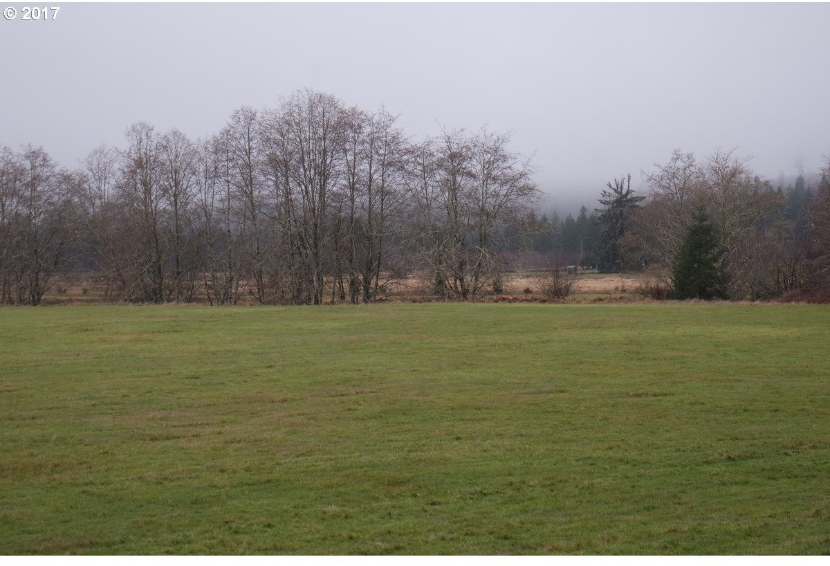 Doyle Road Raymond, WA 98577 - Photo 28 of 32 Gallery Image 28