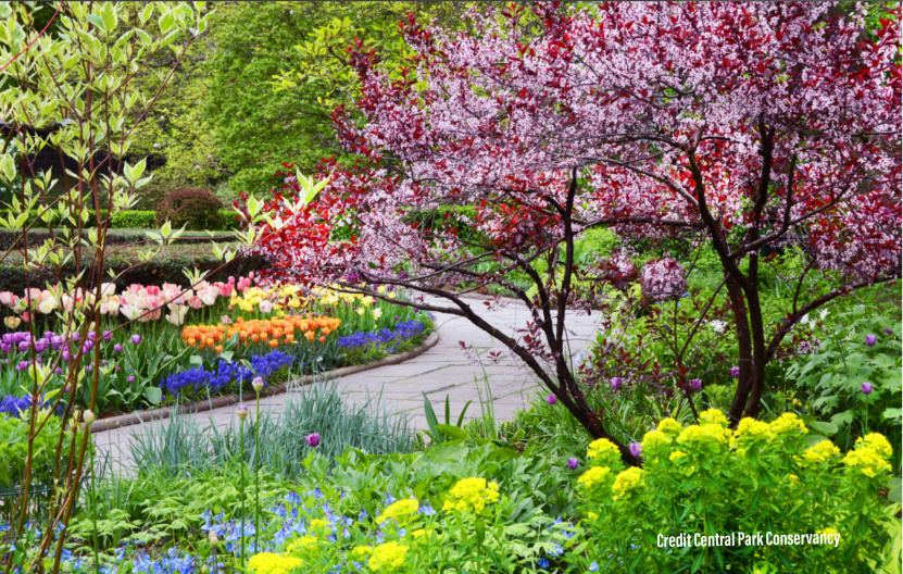 1255 5th Avenue, Unit 5A Manhattan, NY 10029 - Photo 2 of 7