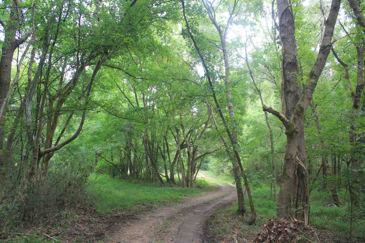 0 Robert Ford Road Waterford, MS 38685 - Photo 24 of 25