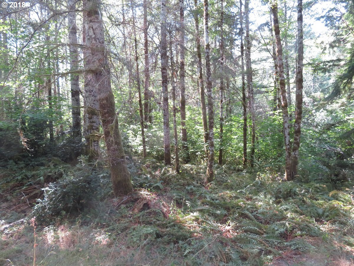 East Thomas Road Grapeview, WA 98546 - Photo 20 of 32 Gallery Image 20