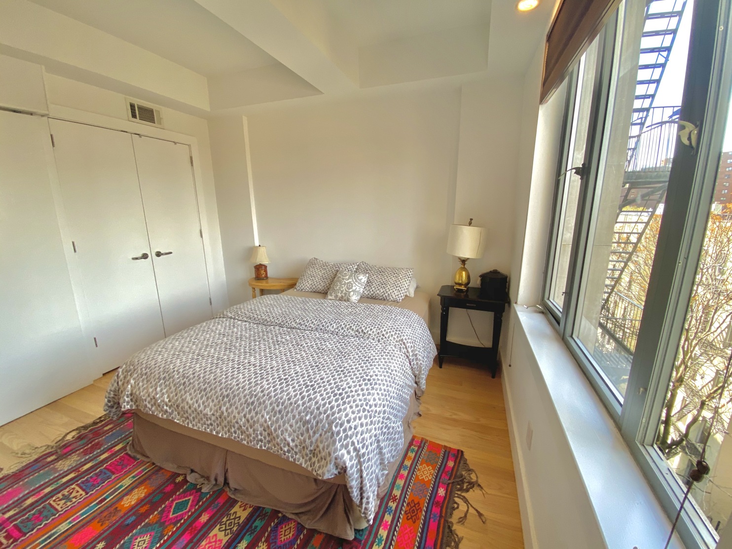 117 East 102nd Street, Unit 5B Manhattan, NY 10029 - Photo 9 of 20