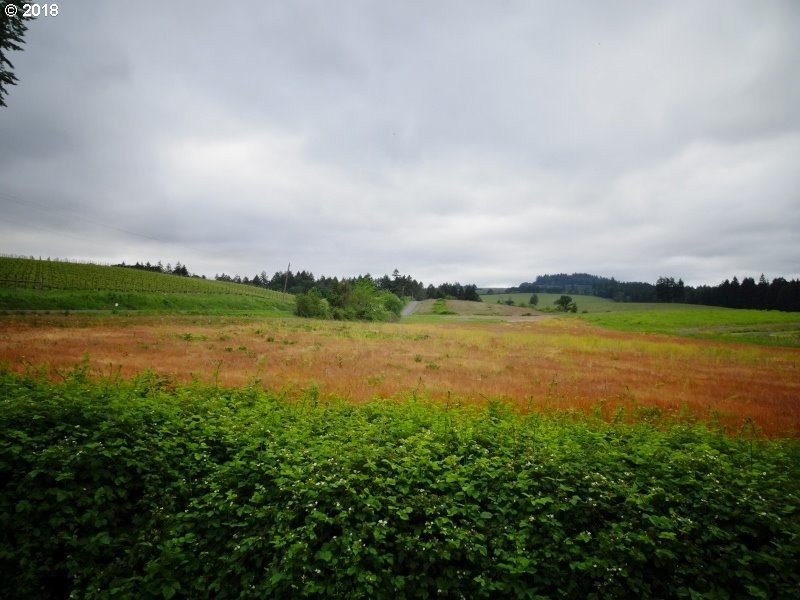 Lone Star Road Salem, OR 97304 - Photo 6 of 25 Gallery Image 6