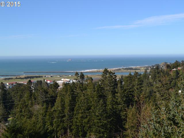 Mountain Road Gold Beach, OR 97444 - Photo 2 of 6 Gallery Image 2