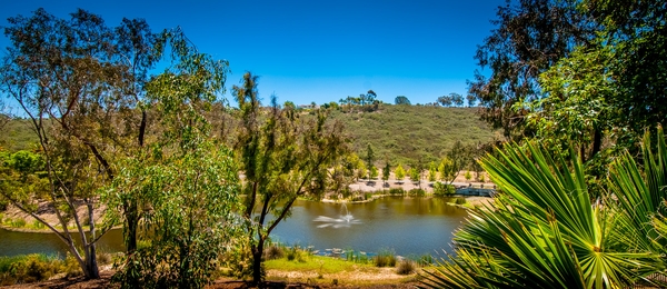 6805 Poco Lago Rancho Santa Fe, CA 92067 - Photo 5 of 25