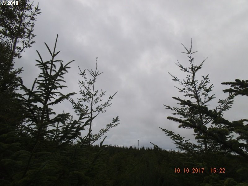 0 County Dump Road Bandon, OR 97411 - Photo 5 of 14 Gallery Image 5