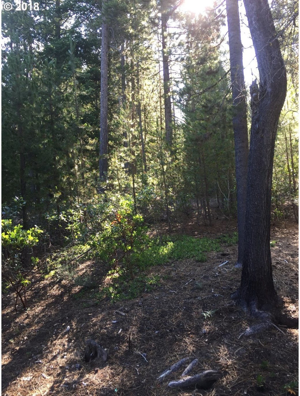 24 Ringo Court La Pine, OR 97739 - Photo 1 of 3 Gallery Image 1