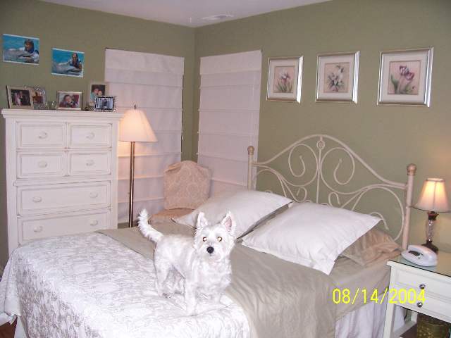 240 Meadow Ridge Road, Unit 240 Galloway Township, NJ 08205 - Photo 4 of 9 Gallery Image 4