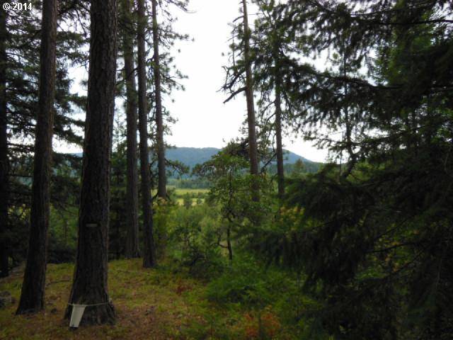 Martin Road Trout Lake, WA 98650 - Photo 1 of 10 Gallery Image 1