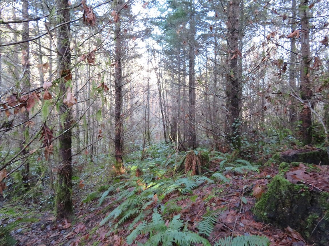 Cousins Road, Unit 1 Chehalis, WA 98532 - Photo 10 of 32