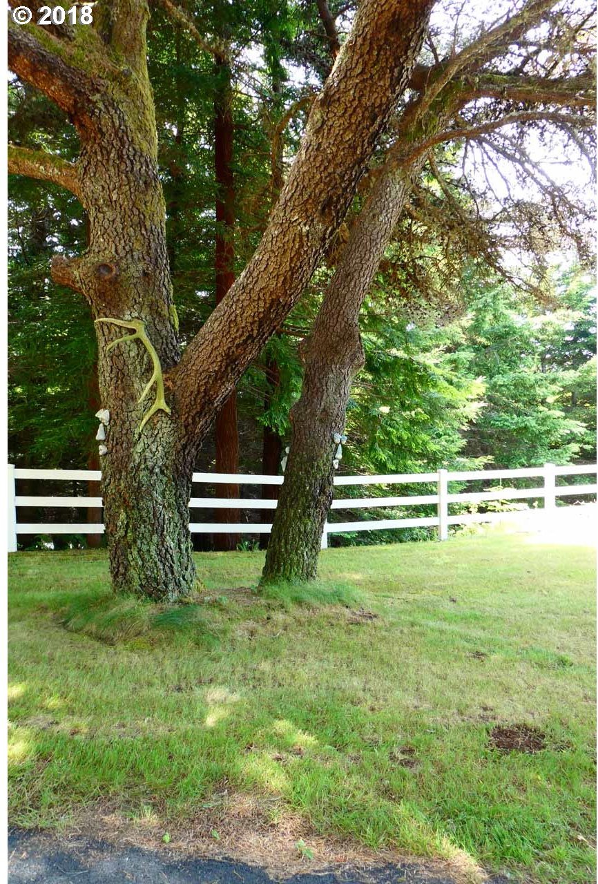 95445 Mussel Creek Road Gold Beach, OR 97444 - Photo 27 of 32 Gallery Image 27