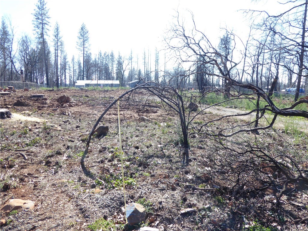 866 Central Park Drive Paradise, CA 95969 - Photo 7 of 10