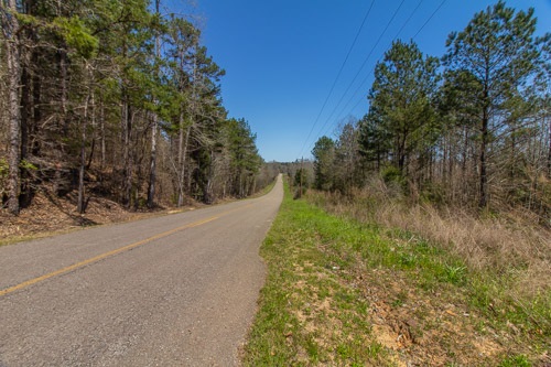 0 Hughey Talley Road Selmer, TN 38375 - Photo 11 of 16 Gallery Image 11