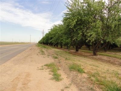 0 Wasco Way Buttonwillow, CA 93206 - Photo 1 of 4