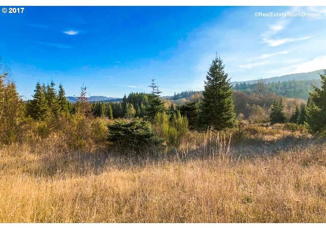 0 Southwest Patton Valley Road, Unit 300 Gaston, OR 97119 - Photo 1 of 14