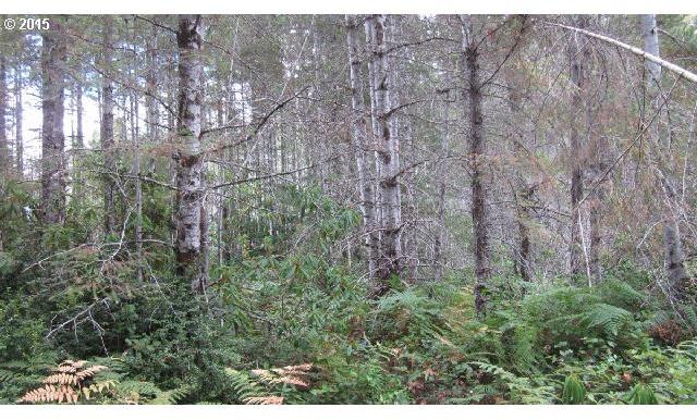 Northeast Dewatto Hills Road Tahuya, WA 98588 - Photo 10 of 16 Gallery Image 10